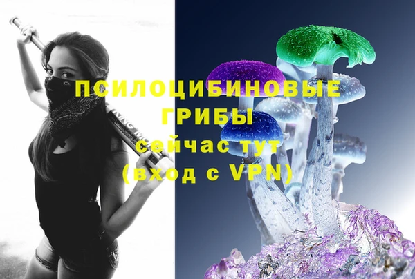 винт Гусь-Хрустальный