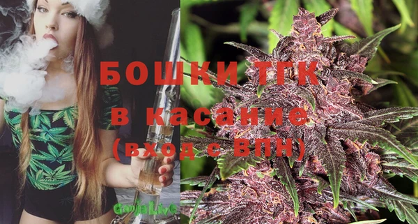 винт Гусь-Хрустальный