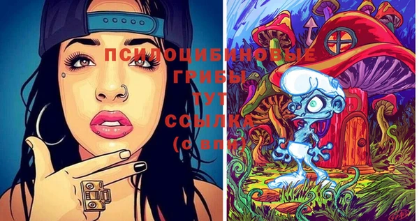 крисы Гусиноозёрск