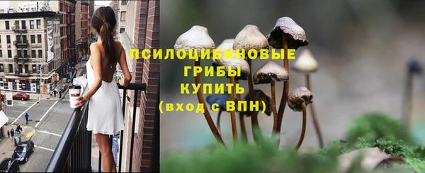 крисы Гусиноозёрск